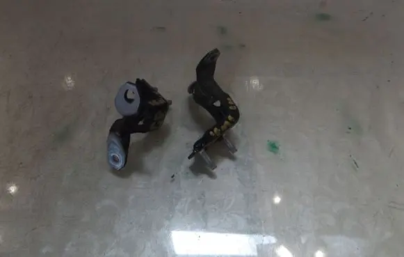 Suzuki Ignis Rear door hinge set 