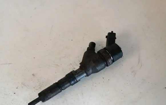 Citroen C5 Fuel injector 0445110008 9635196580