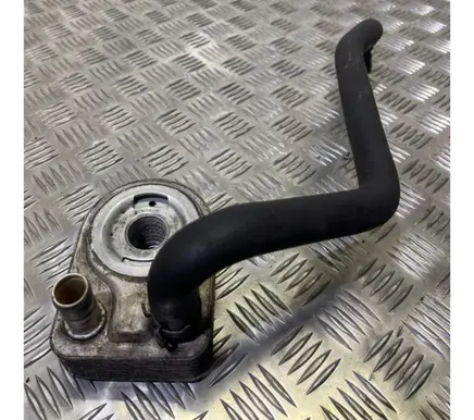 Ford Fiesta Engine oil radiator CM5G6B856EA