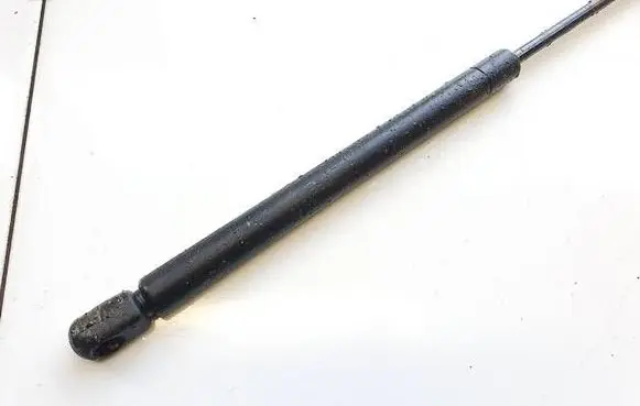 Tailgate/trunk strut/damper