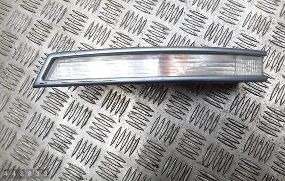 Volkswagen PASSAT B6 Front indicator light 3c0953041e