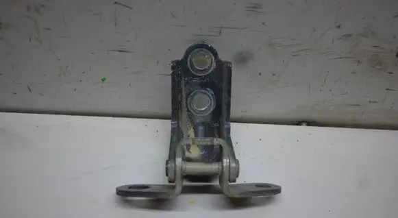 Rear door lower hinge