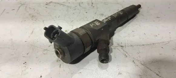 Renault Megane II Fuel injector 0445110