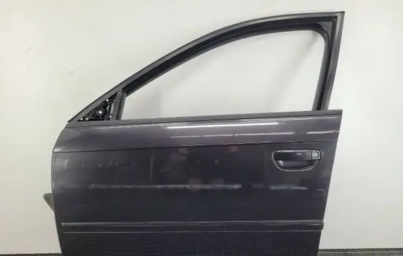 Audi A3 S3 8P Front door