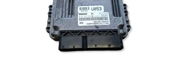 KIA Carens III Engine control unit/module 391202A410 0281019595