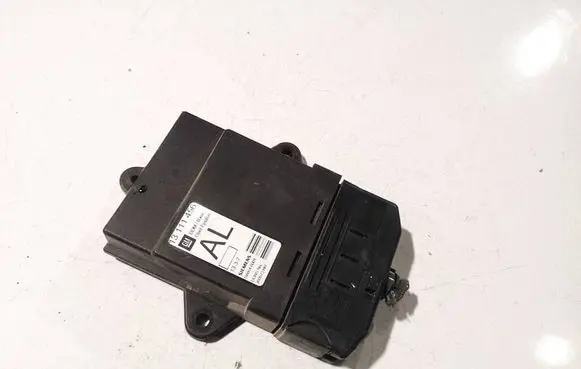 Opel Signum Door control unit/module 13111456