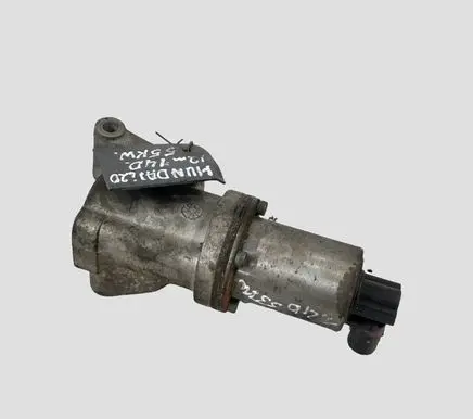 Hyundai i20 (PB PBT) EGR valve 284102A300