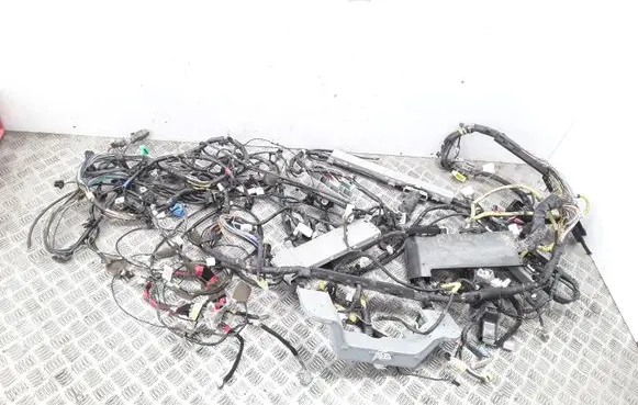 Hyundai ix 55 Other wiring loom 918003J360 317003J050