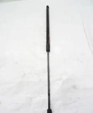 Tailgate strut