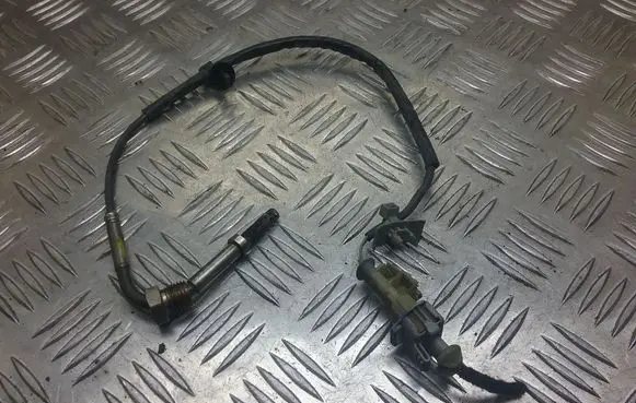 Exhaust gas temperature sensor