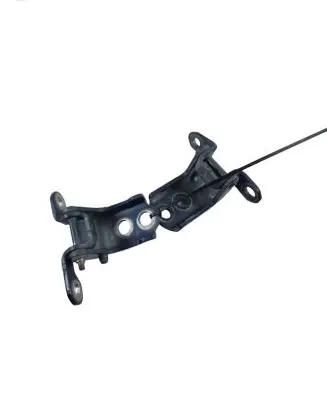 Renault Kadjar Front door hinges set A0465742551R