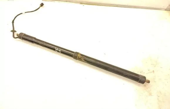 Tailgate/trunk strut/damper