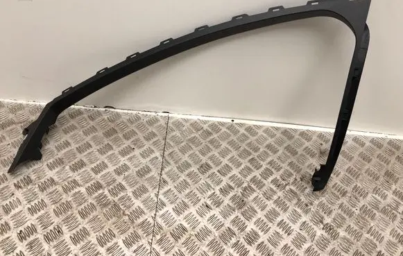Other front door trim element