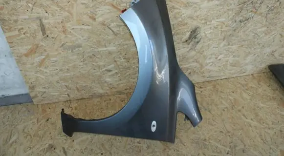 Nissan Leaf I (ZE0) Fender