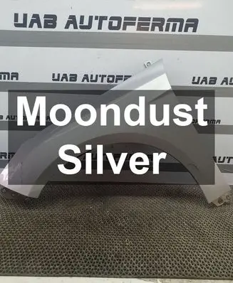 Ford Focus Fender