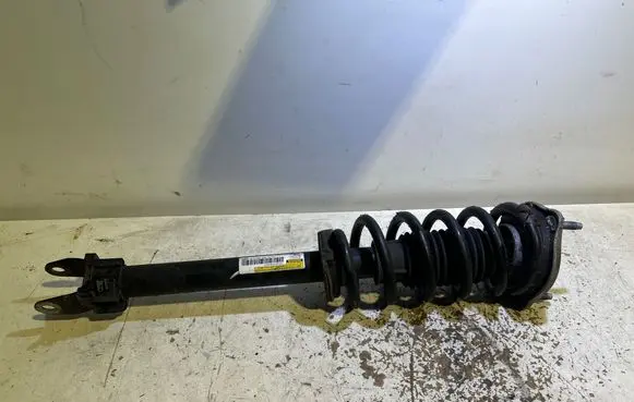 Mercedes-Benz C W205 Front shock absorber with coil spring A2053201813