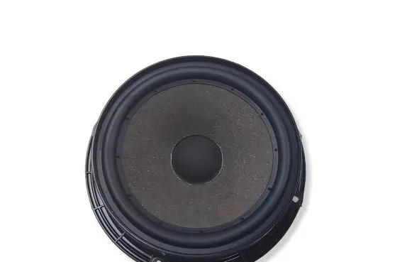 Seat Leon (1P) Front door speaker 1P0035411