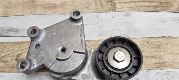 Volvo V40 Generator/alternator belt tensioner 846143