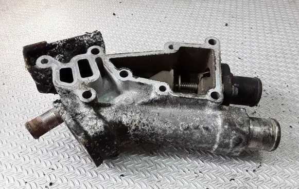 Thermostat/thermostat housing