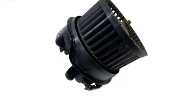 Citroen C2 Front door blower motor N101394V
