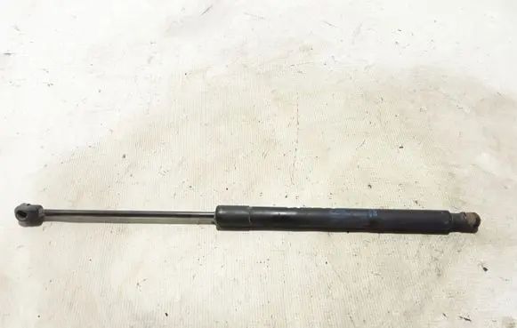 Tailgate strut