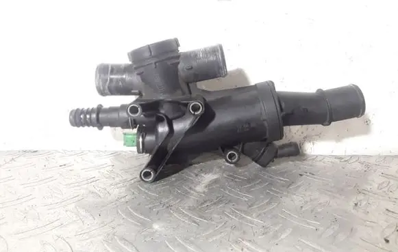 Thermostat/thermostat housing