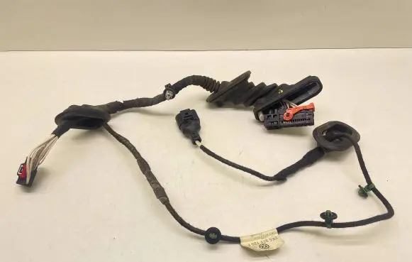 Front door wiring loom