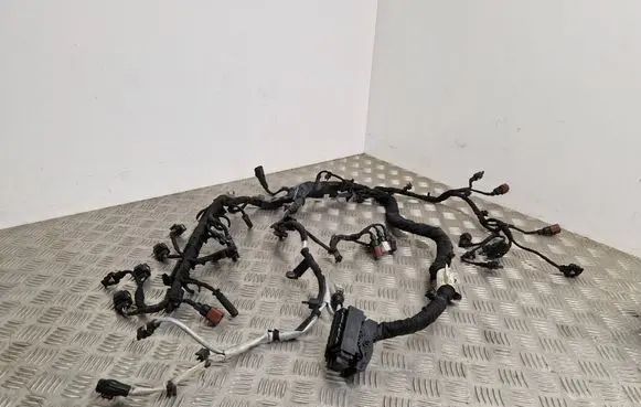 Engine installation wiring loom