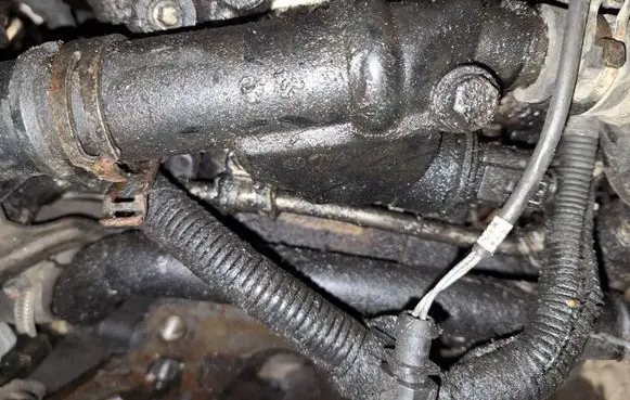 Volkswagen PASSAT B6 Engine coolant pipe/hose 03g121132