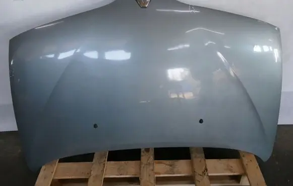 Renault Scenic I Engine bonnet/hood