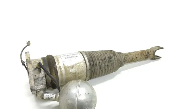 Volkswagen Phaeton Rear shock absorber/damper 3D0616001H