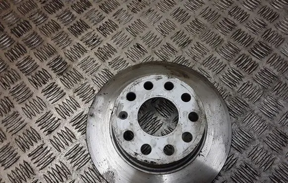 Volkswagen Golf V Rear brake disc 