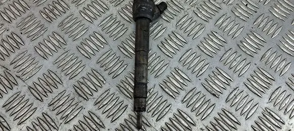 Land Rover Range Rover Evoque L538 Fuel injector G4D39K546AA