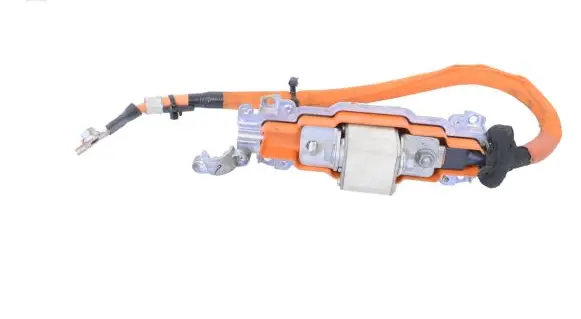 Tesla Model S Other wiring loom 105080510E