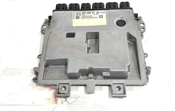 Engine control unit/module ECU