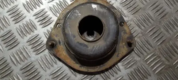 Coil spring mount