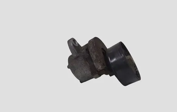 Opel Insignia A Generator/alternator belt tensioner 563864