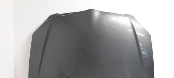Engine bonnet/hood