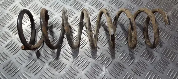 Rear coil spring