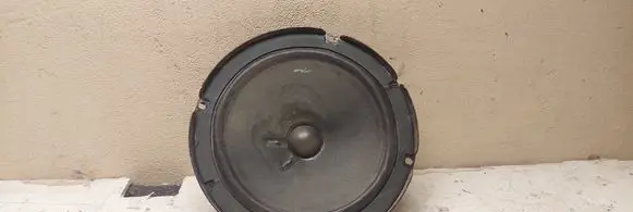 Rear door speaker