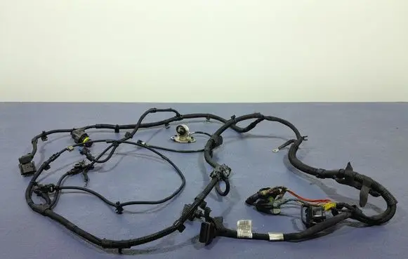 Other wiring loom