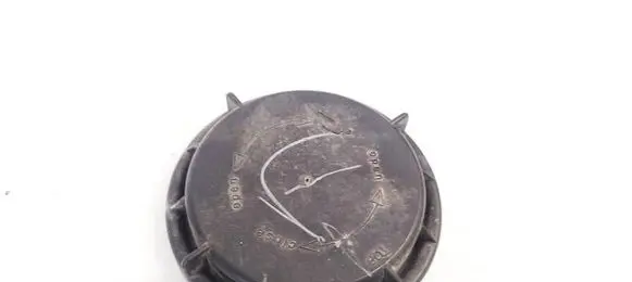 Volkswagen Jetta V Headlight/headlamp dust cover 14735300