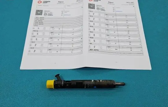 Renault Megane II Fuel injector EJBR01801Z IMPRK1439402