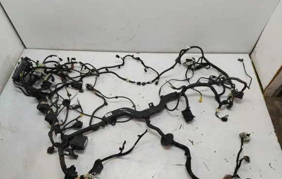 Ford Mustang Mach-E Front door wiring loom/harness boot NJ8T-14290-RDB