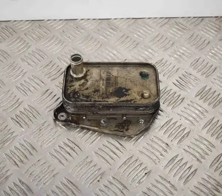 Mercedes-Benz Vito Viano W638 Engine oil radiator A6461880301