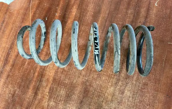 Fiat Multipla Rear coil spring 