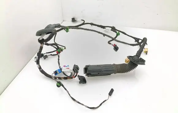 Front door wiring loom