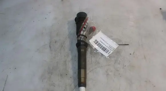 Fiat Ducato Fuel injector 0445110418