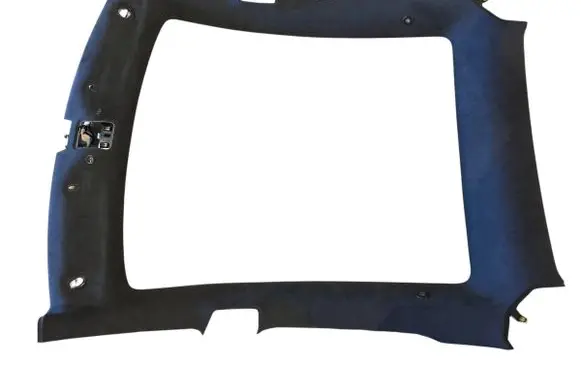 Tesla Model S Headlining 106217506K NG001679UB B11002649