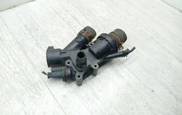 Thermostat/thermostat housing